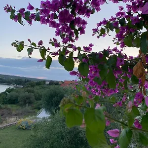 https://apartments-sara-posedarje.hotelinzadar.com